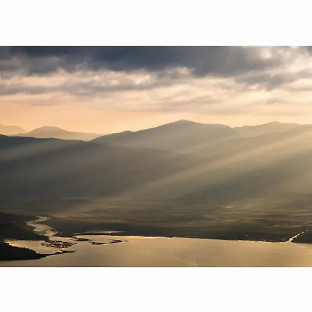 Wild Willow * Potamós