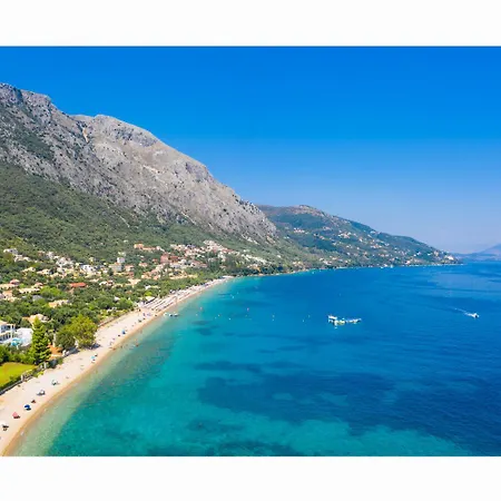 Wild Willow فيلة