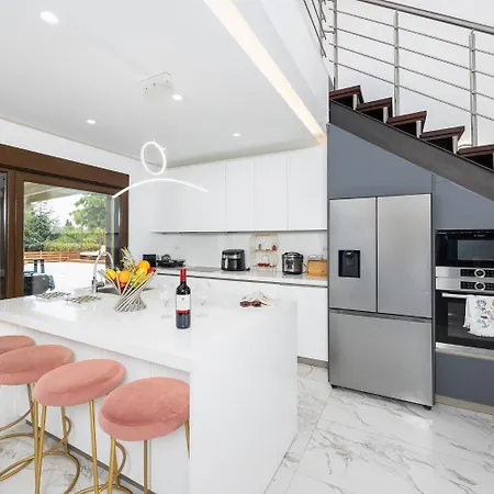 Wild Willow Potamós